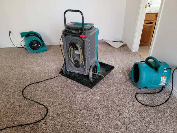Best Flood damage cleanup  in North Ridgeville, OH