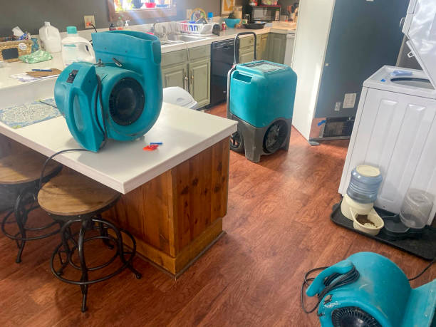Best Commercial water damage restoration  in North Ridgeville, OH