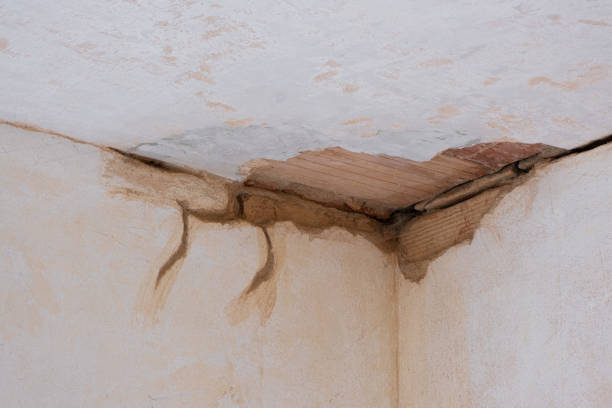 Best 24-hour water damage restoration  in North Ridgeville, OH