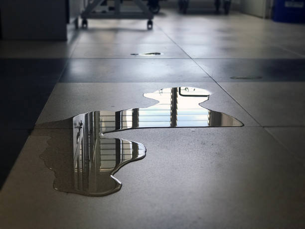 Best Carpet water damage restoration  in North Ridgeville, OH