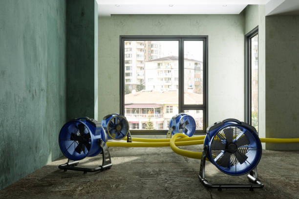 Best 24/7 water damage repair  in North Ridgeville, OH